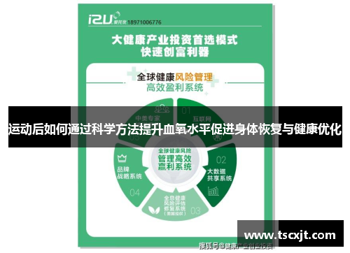 运动后如何通过科学方法提升血氧水平促进身体恢复与健康优化